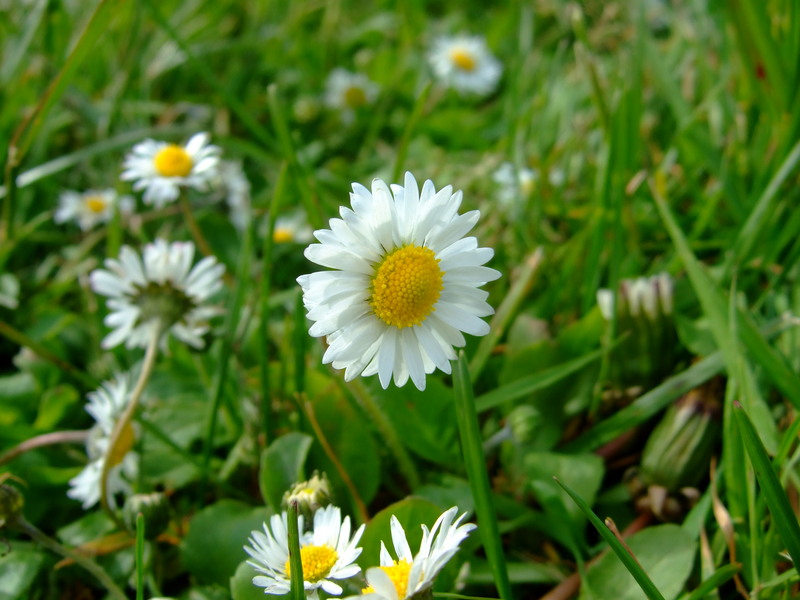 dscf6011