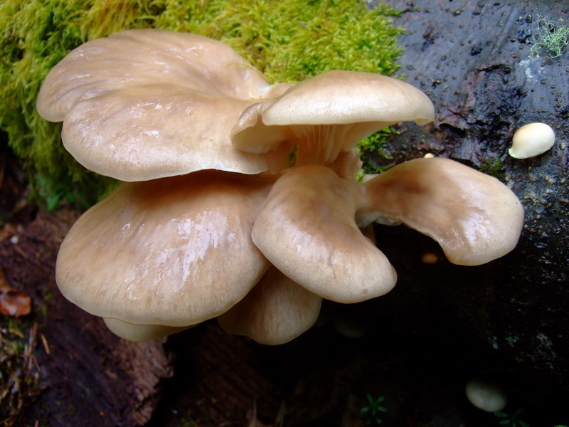 dscf6164