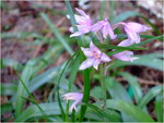 dscf6229