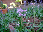 dscf6236
