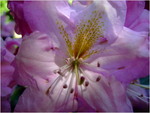 dscf6241