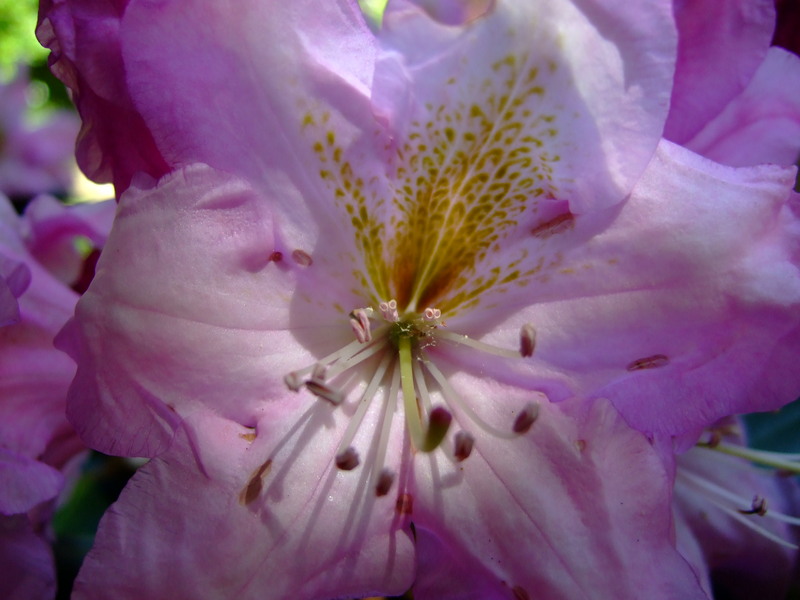 dscf6241