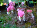 dscf6244