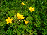 dscf6247