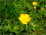dscf6250