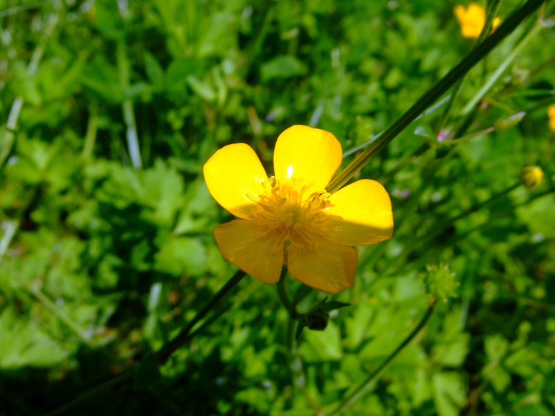 dscf6252