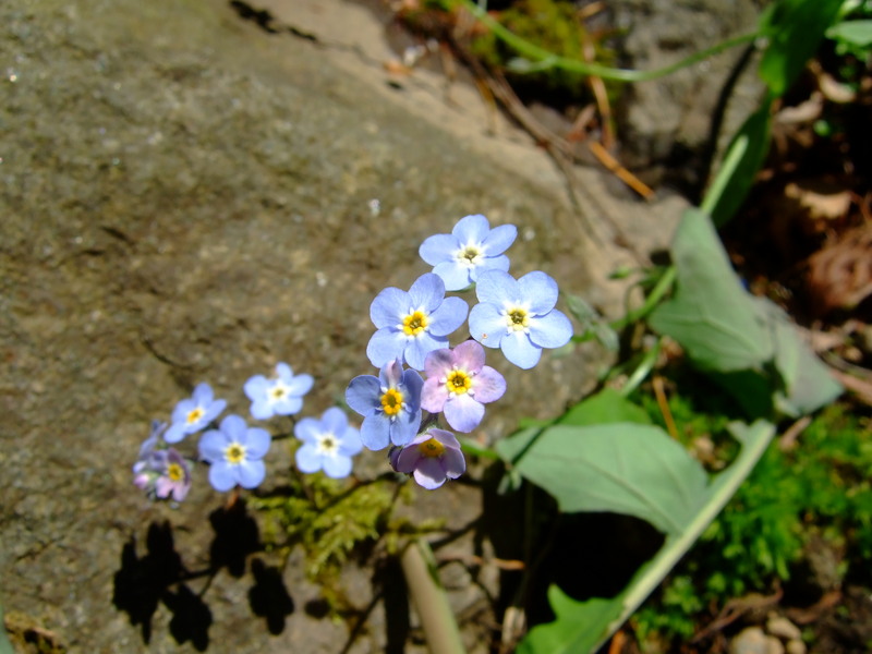 dscf6261