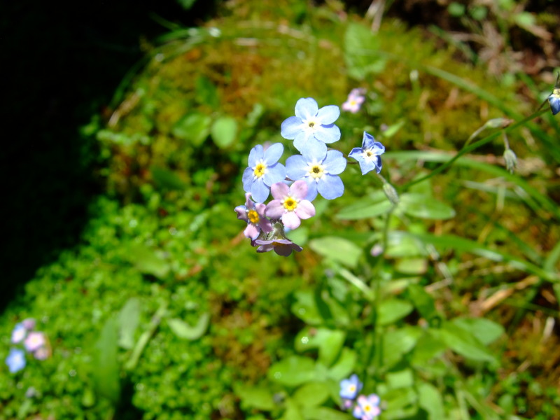 dscf6262