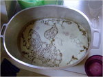 dscf6419