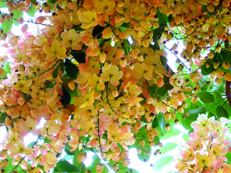 dscf6970l