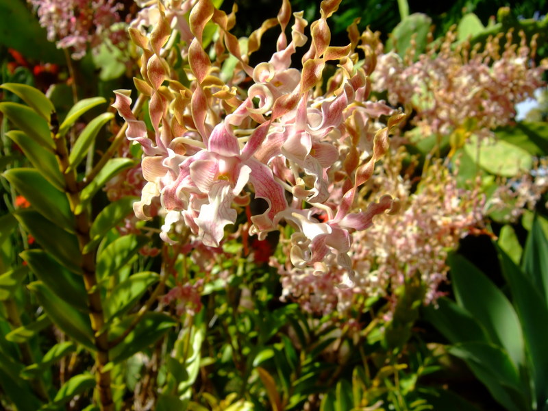 dscf7124
