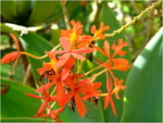 dscf7125
