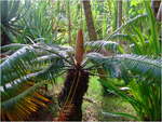 dscf7139