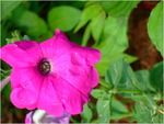 dscf7165