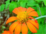 dscf7169