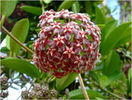dscf7215