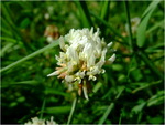 dscf7276
