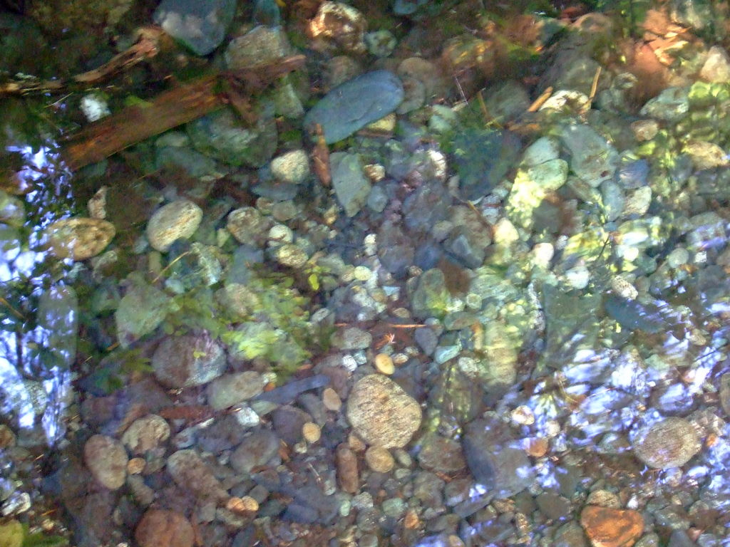 dscf7298