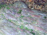 dscf7307