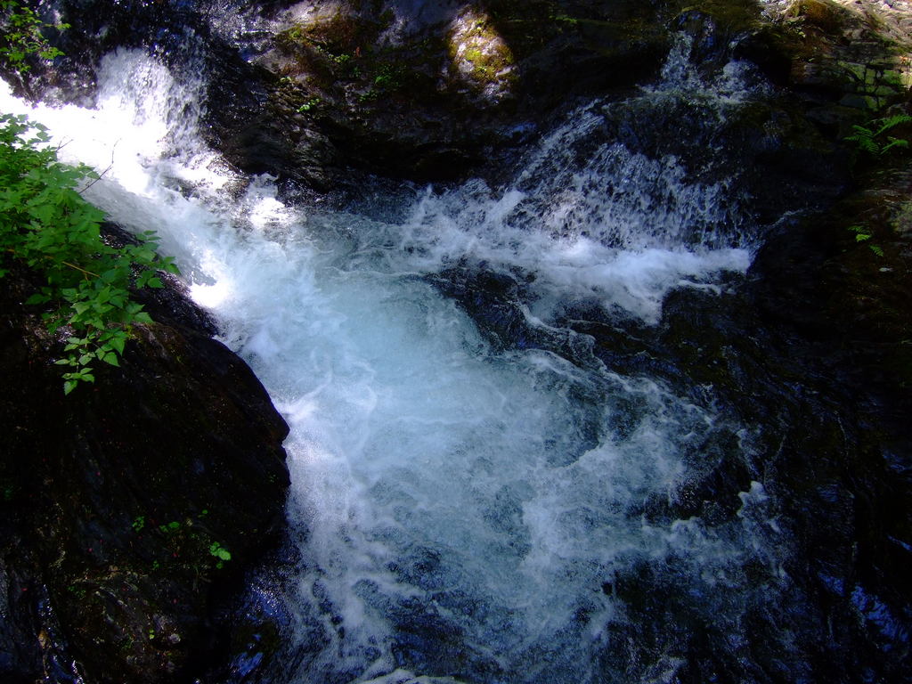 dscf7311