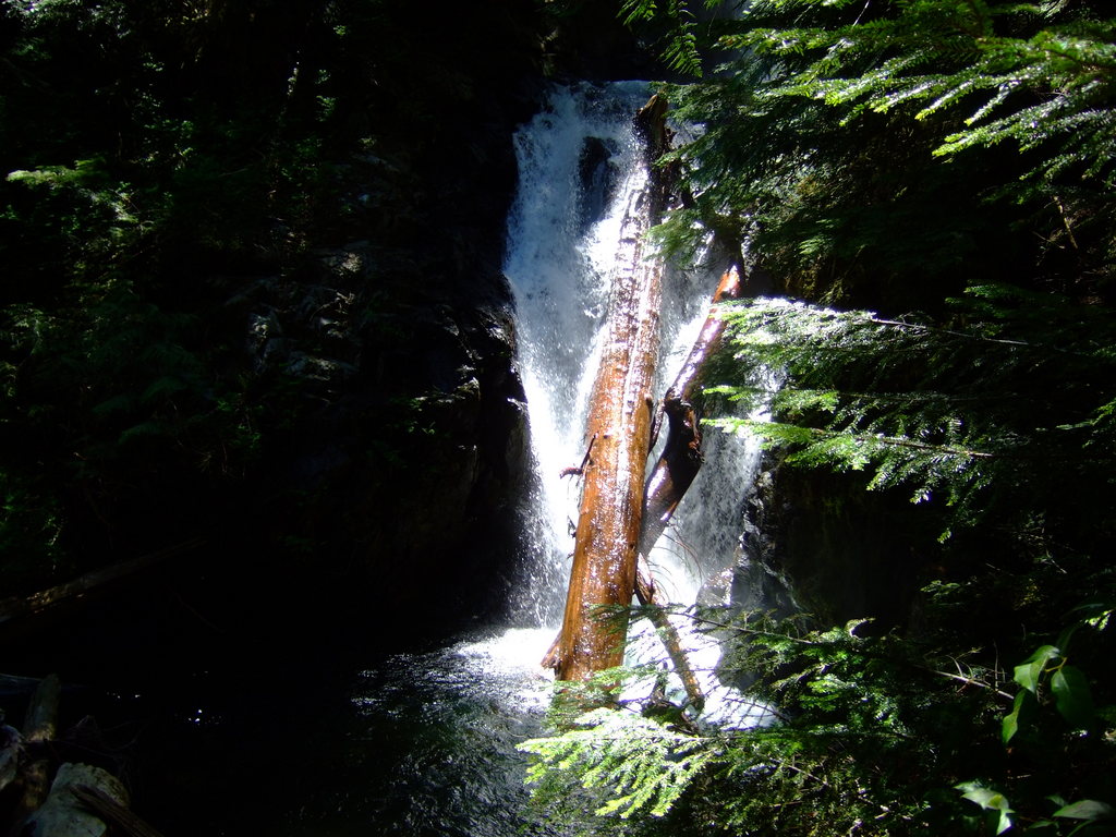dscf7320