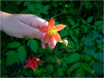 dscf7381