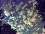 dscf8079lo