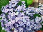 dscf8116l