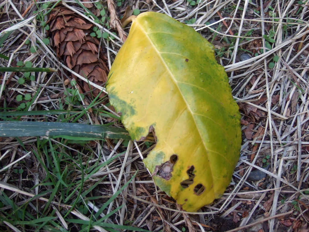 dscf8248