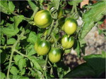 dscf8309