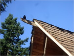 dscf8444