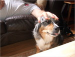dscf8473