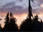 dscf8621
