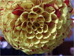 dscf8668
