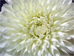 dscf8673