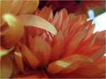 dscf8680