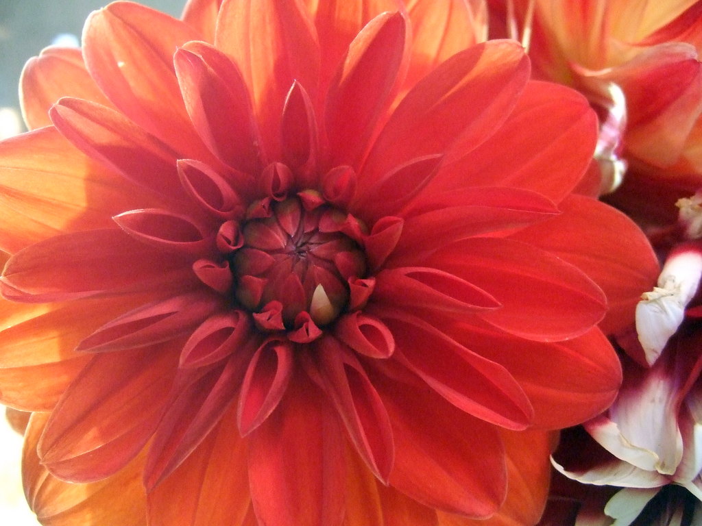 dscf8686