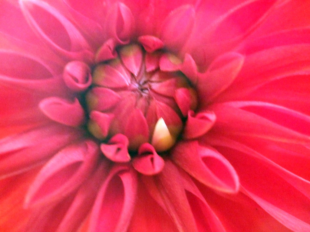 dscf8687