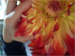 dscf8689