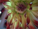 dscf8691