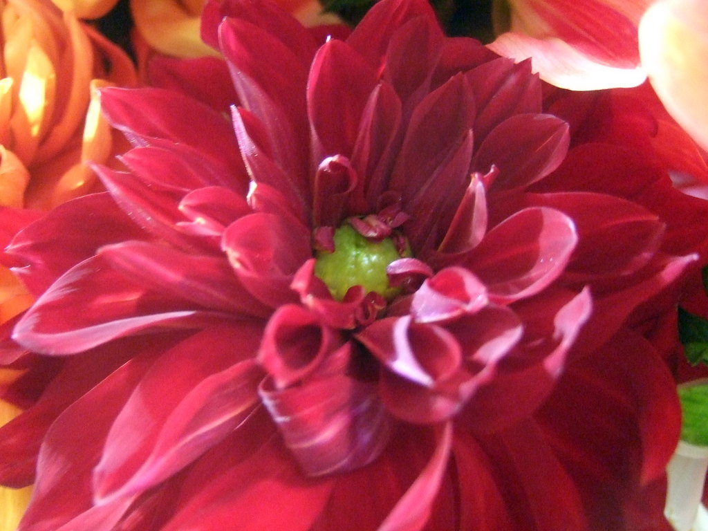 dscf8694