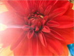 dscf8697