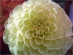 dscf8702