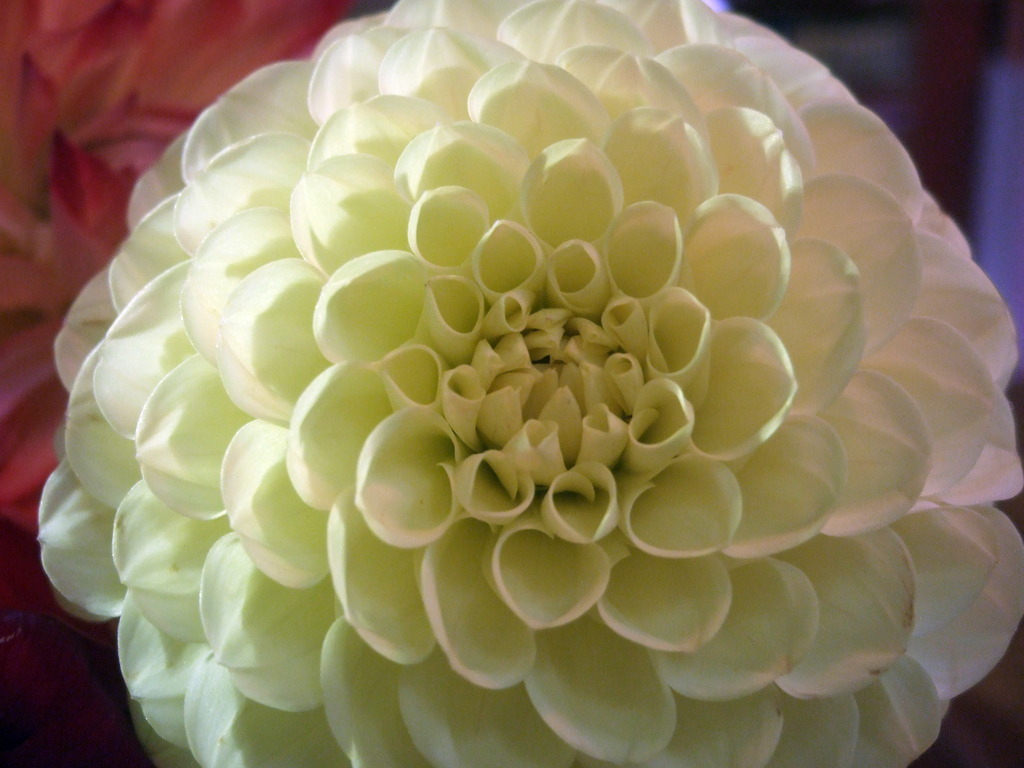 dscf8702