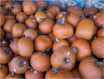 dscf8774