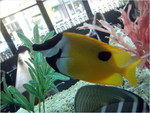 dscf8821
