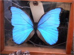dscf9572