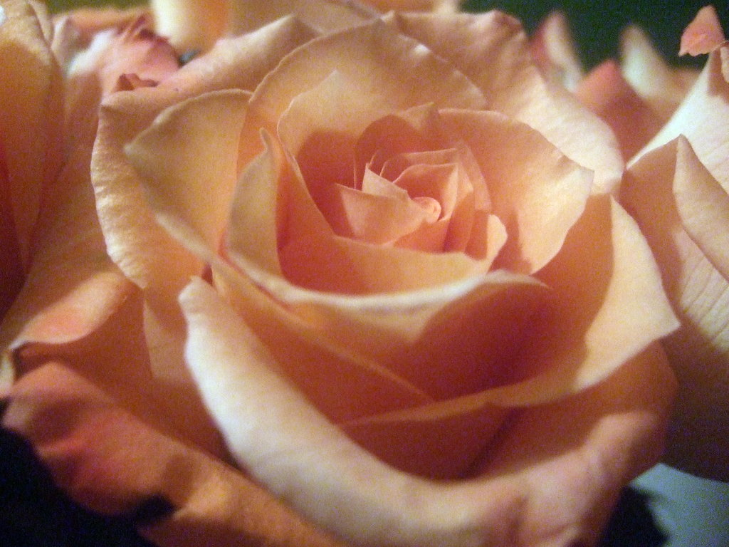 dscf9822