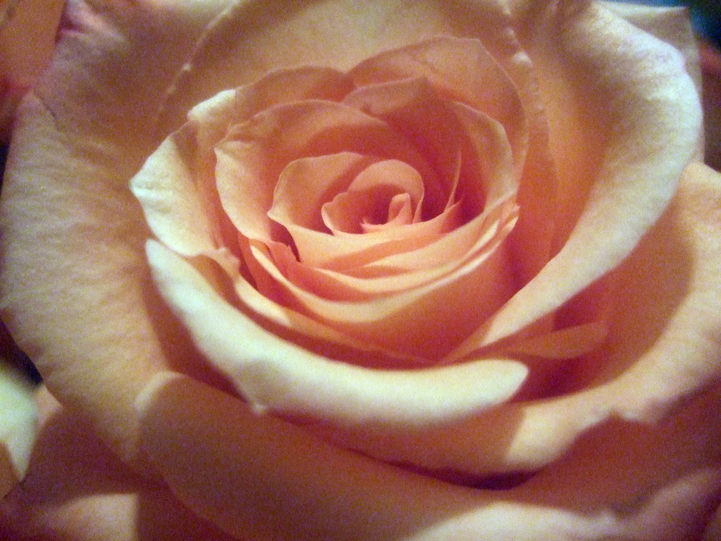 dscf9825