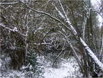 dscf9894